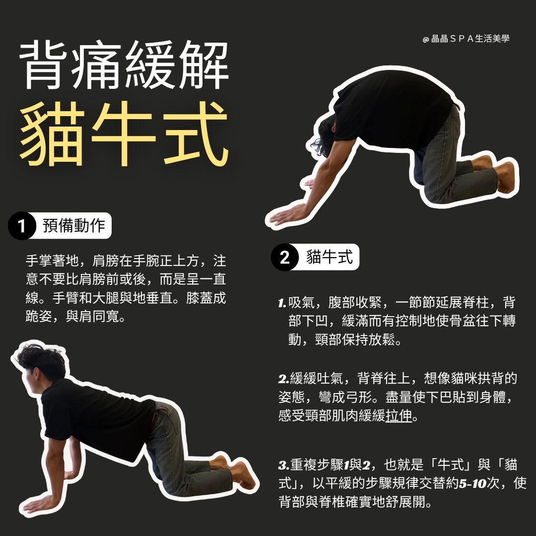 貓牛式 背痛緩解 台中按摩