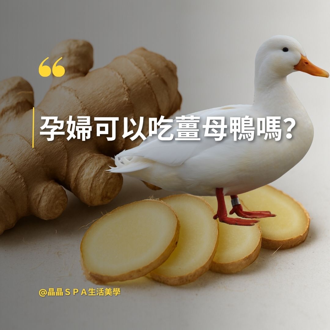 孕婦可以吃薑母鴨嗎 孕期禁忌 孕期食補